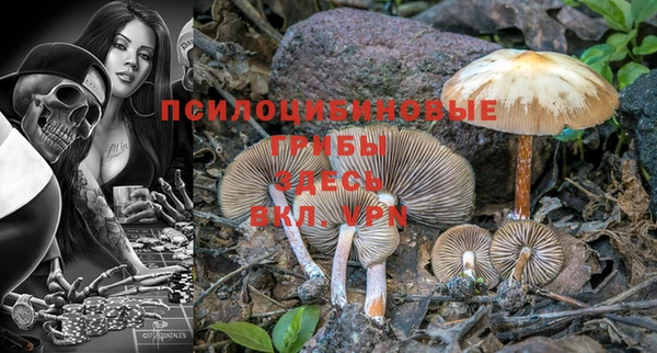 прущие крисы Липки