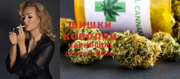 сатива Лихославль