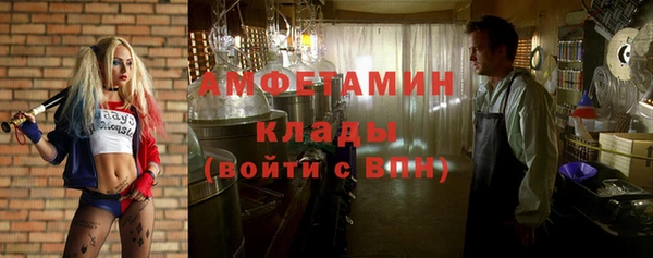 сатива Лихославль